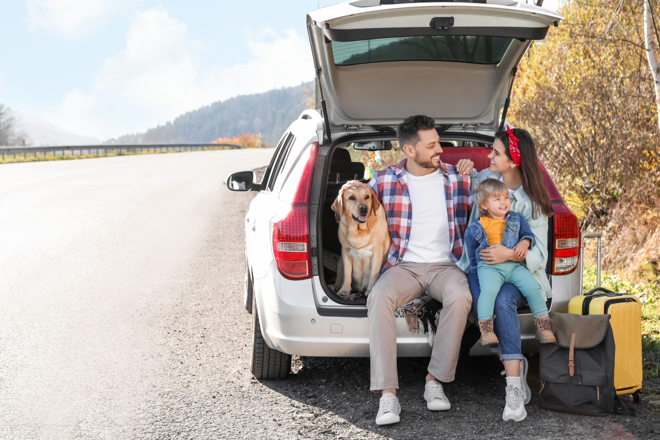 servicii de închirieri auto